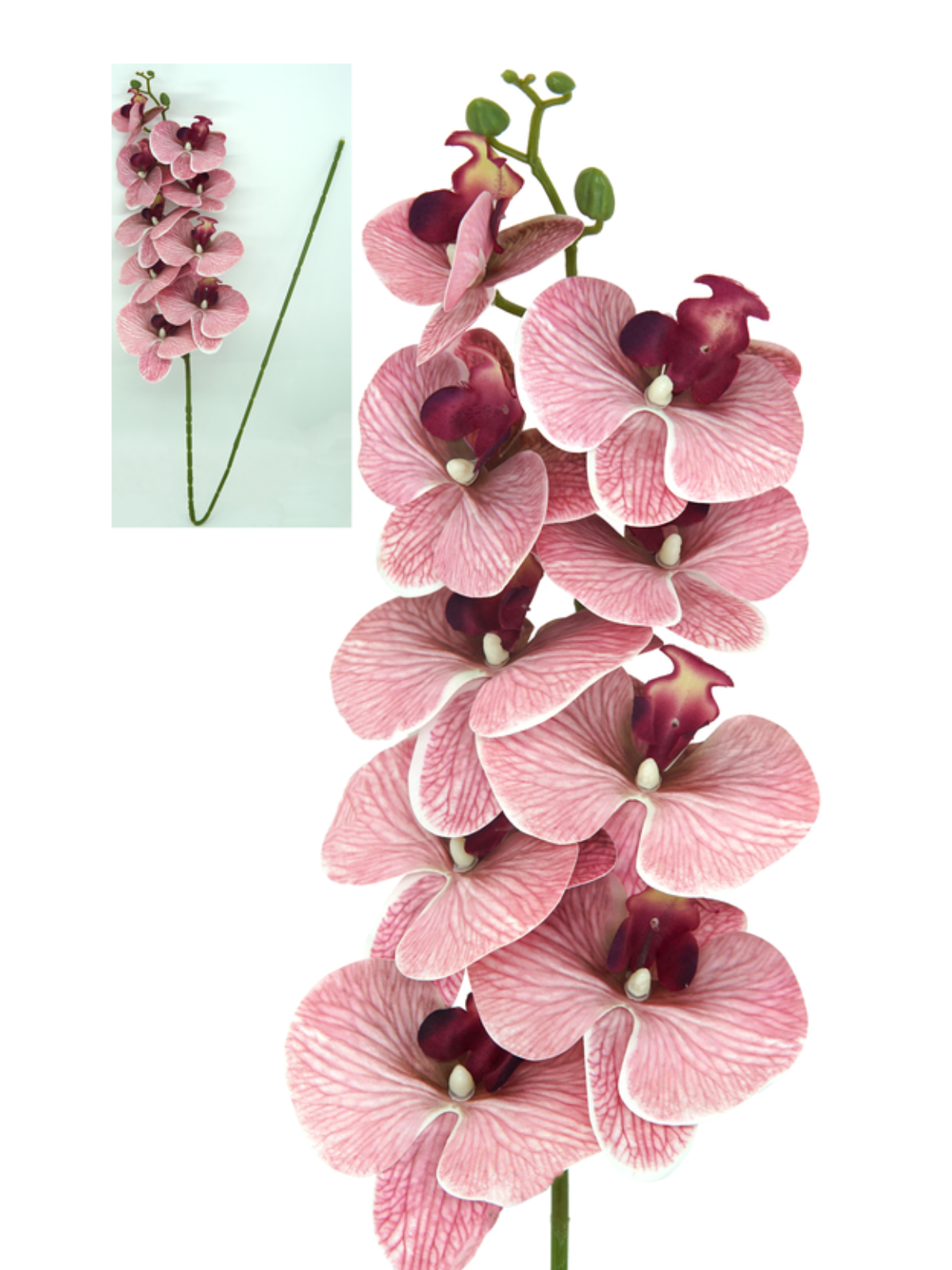 Orquídea 3D Grande - 106 cm