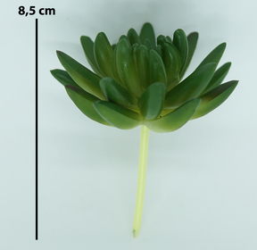 Kit com 12 Modelos de Suculentas Artificiais