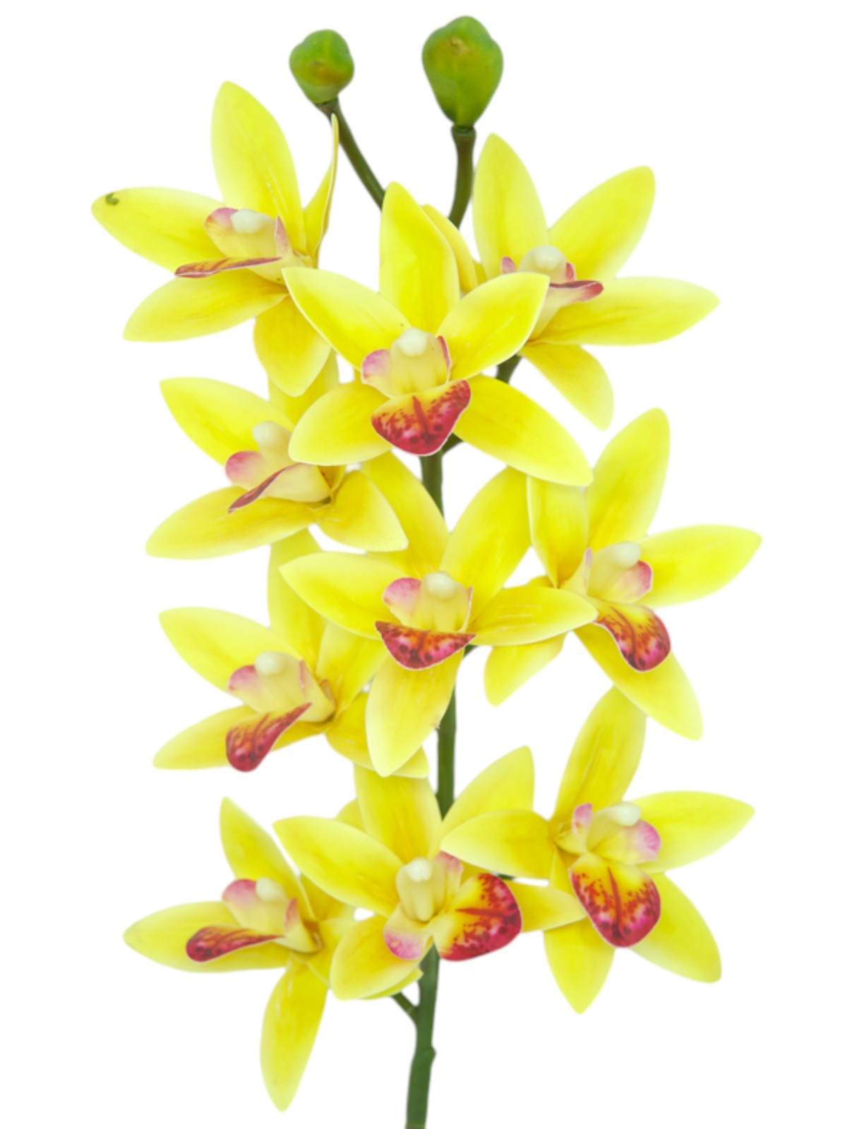 Haste Artificial de Orquídea 3D Cymbidium - 76 cm