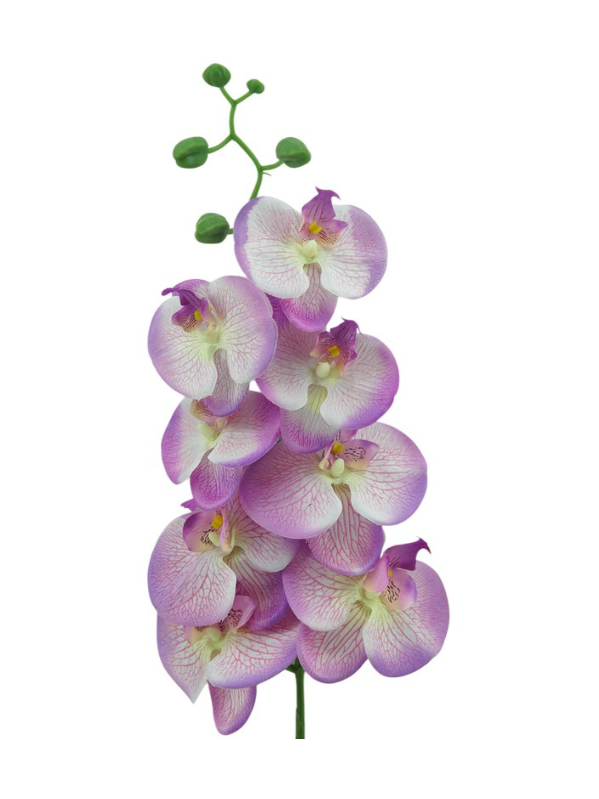 Orquídea - 98 cm