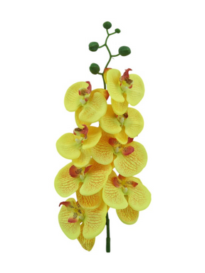 Orquídea - 98 cm