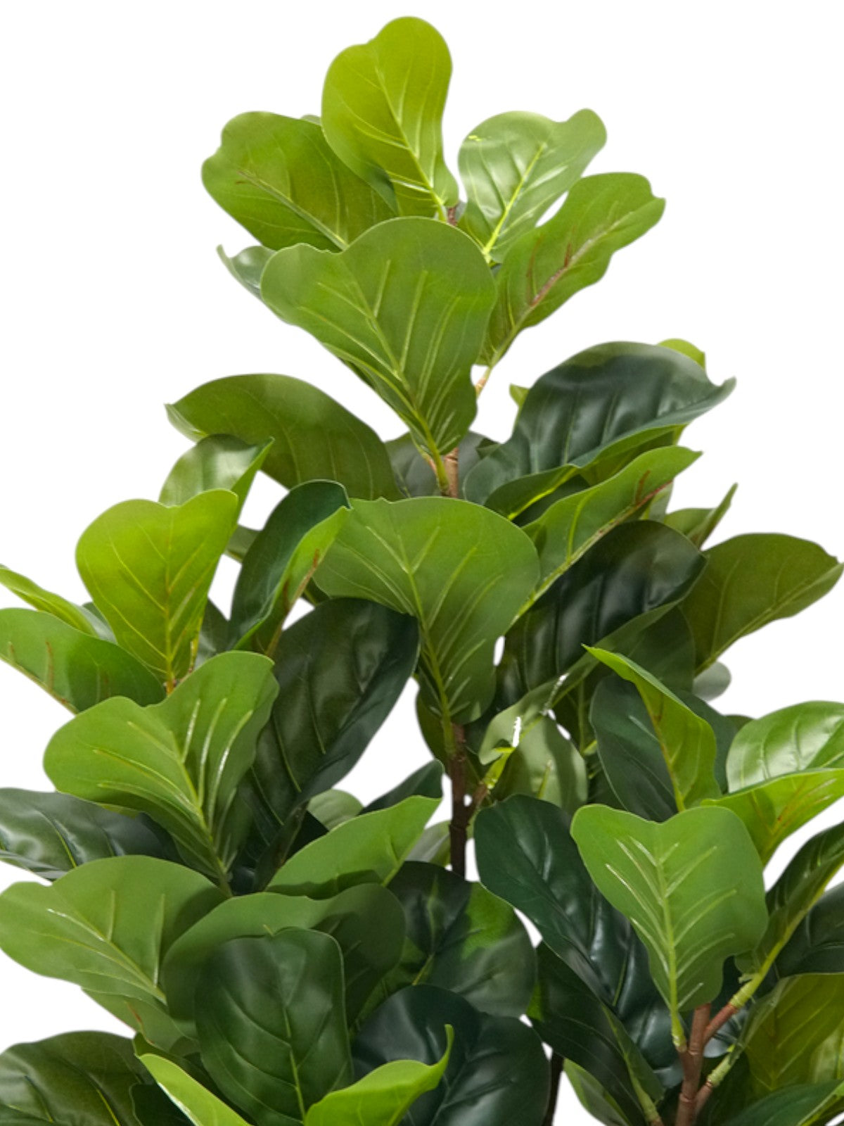 Planta Artificial Ficus Lyrata de 185 cm da Linha Premium