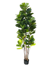 Planta Artificial Ficus Lyrata de 185 cm da Linha Premium