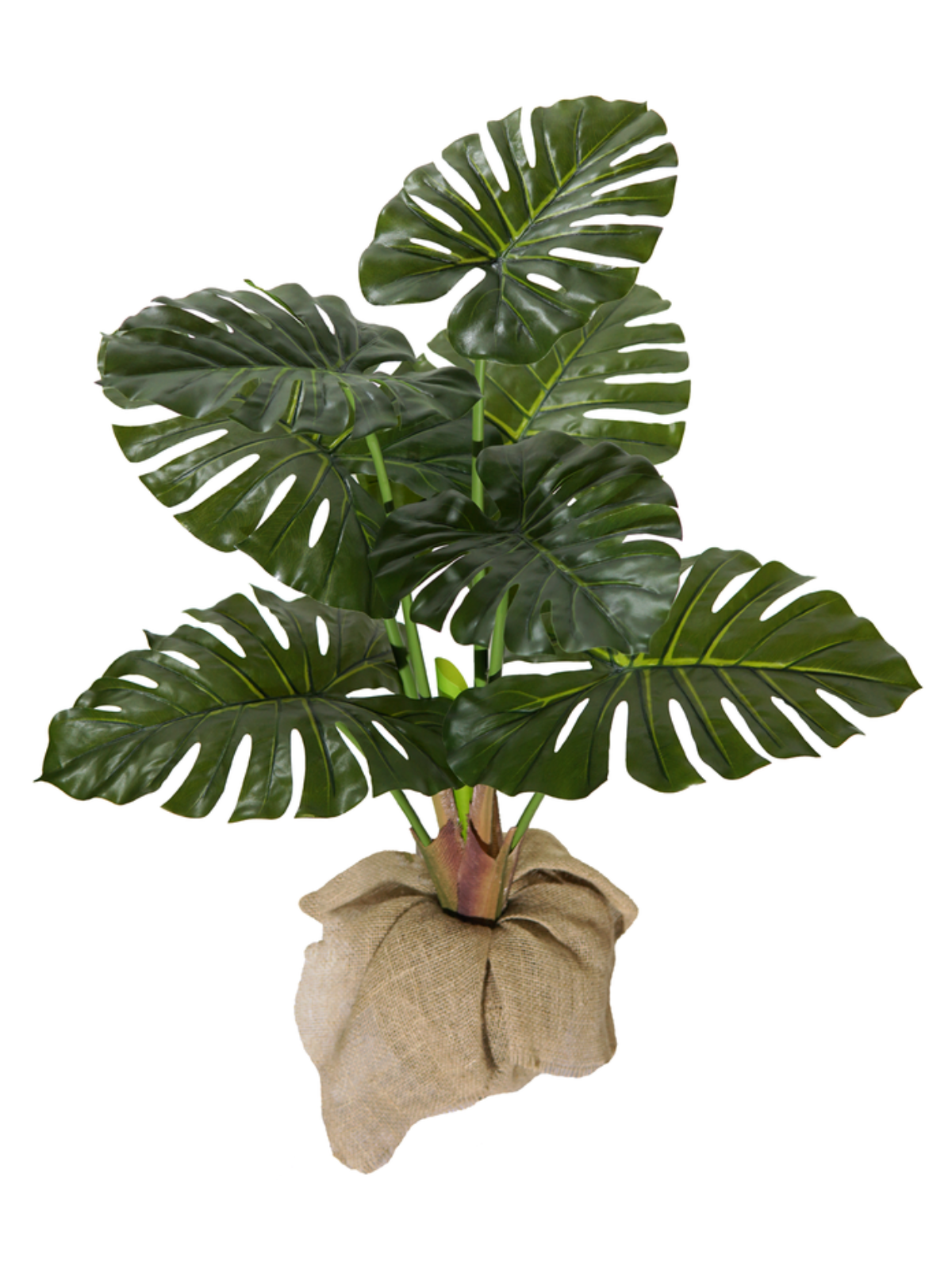 Planta Artificial Costela de Adão de 90cm